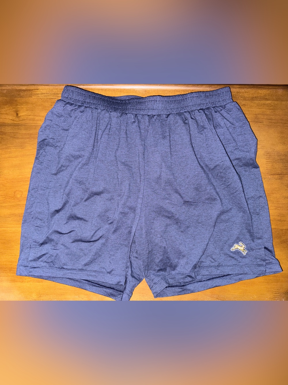 Tracksmith Session Shorts